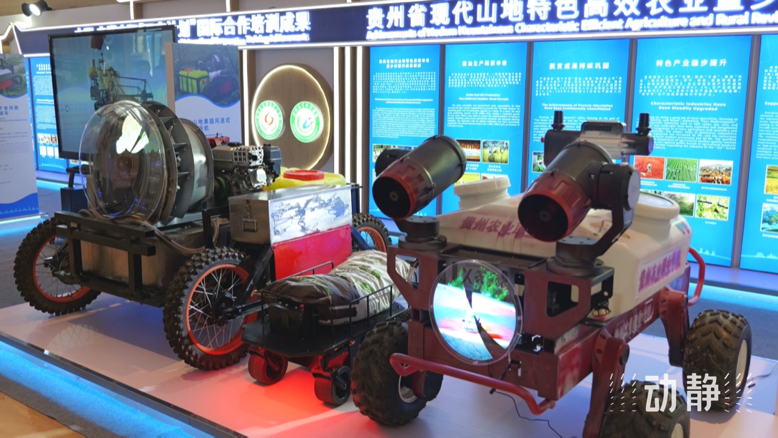 展示成果分享經(jīng)驗(yàn)，中國(guó)—東盟教育交流周深化合作共創(chuàng)未來(lái)！