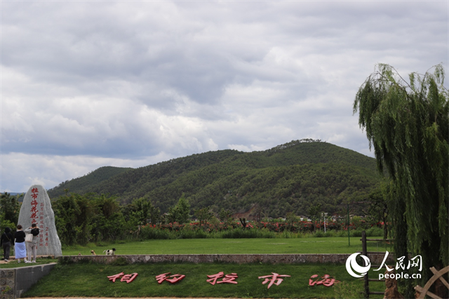 麗江市拉市海景區(qū)。 人民網(wǎng)記者 程浩攝