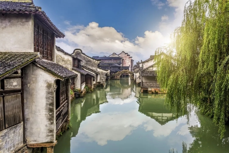 烏鎮(zhèn)動(dòng)觀察｜這個(gè)字，牽起國際交流互鑒之紐帶