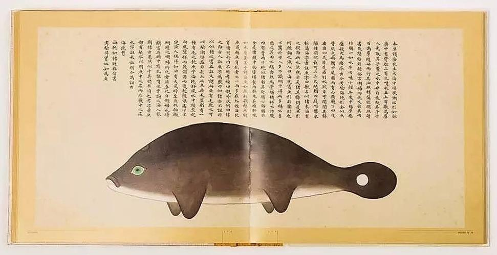文化中國行 長江之歌丨微笑的江豚，從四千年前“游”來