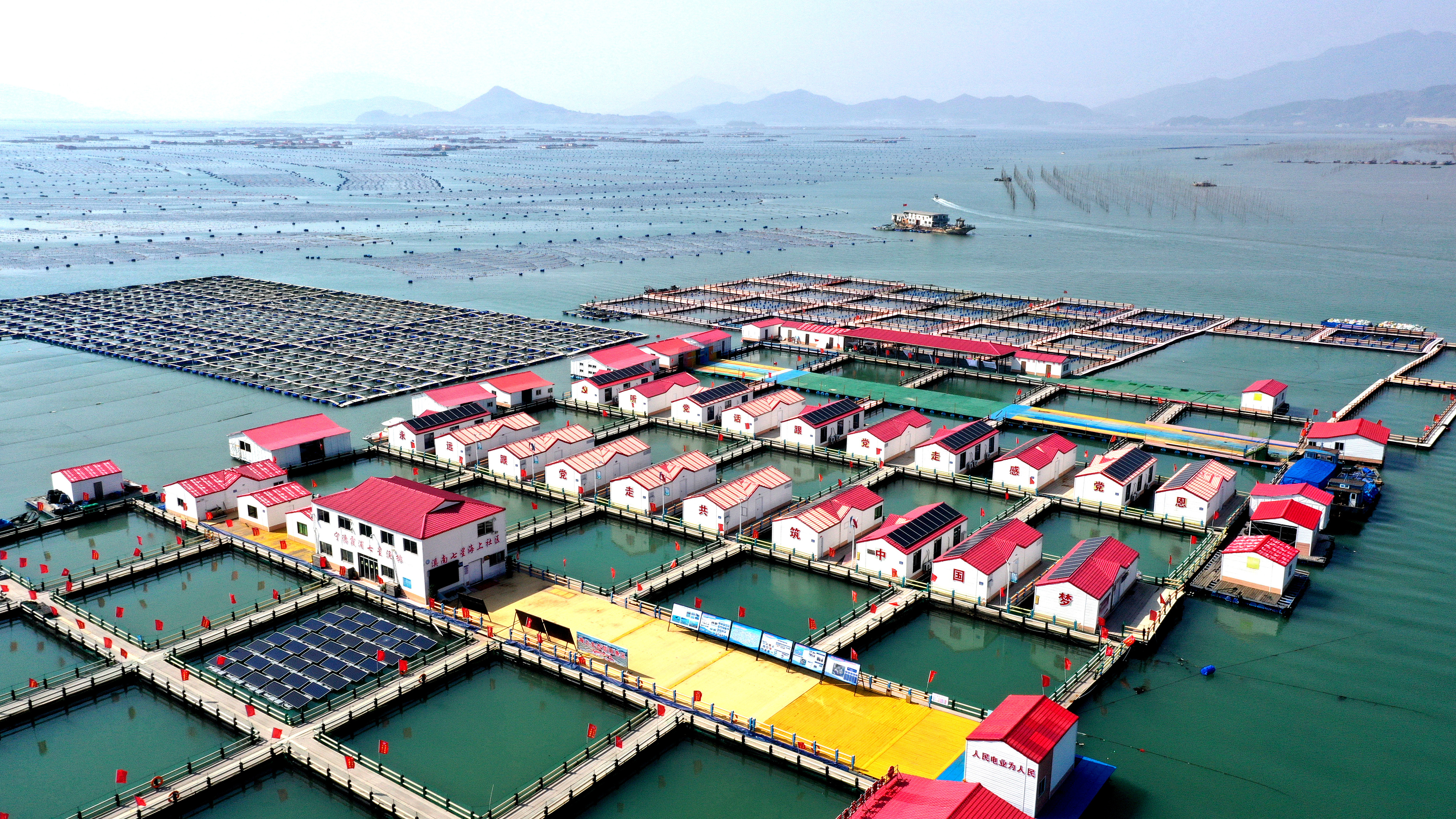 2024年3月20日，福建省寧德市，霞浦縣溪南鎮(zhèn)七星村漁排養(yǎng)殖示范區(qū)，漁民駕駛養(yǎng)殖船進(jìn)行海參養(yǎng)殖作業(yè)。