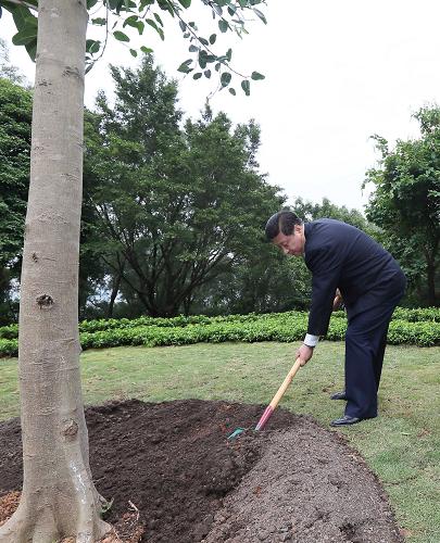 2012年12月7日至11日，習近平在廣東省考察工作。這是8日上午，習近平在深圳蓮花山公園種下一棵高山榕樹。新華社記者 蘭紅光 攝