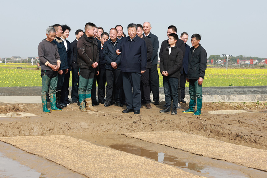 2024年3月18日至21日，中共中央總書記、國家主席、中央軍委主席習近平在湖南考察。這是19日下午，習近平在常德市鼎城區(qū)謝家鋪鎮(zhèn)港中坪村走進田間，察看秧苗培育和春耕備耕進展。新華社記者 王曄 攝
