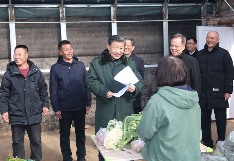 2024年2月1日，習近平總書記在天津市西青區(qū)辛口鎮(zhèn)第六埠村，走進大棚同菜農(nóng)親切交流。