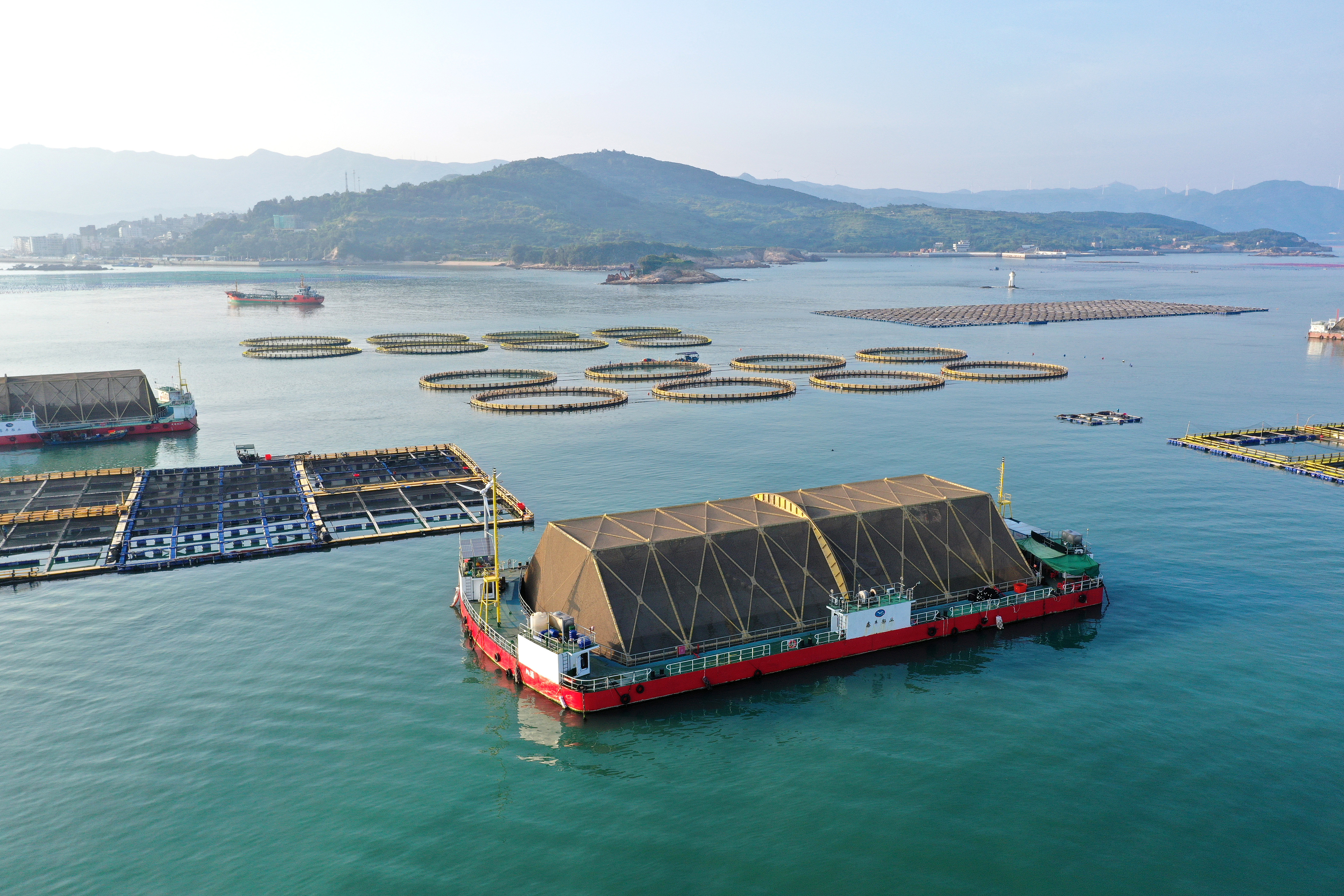2024年9月10日拍攝的福建省福州市連江縣定海灣海域的現(xiàn)代化“海上糧倉”。