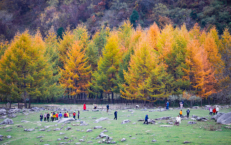 2023年10月27日，深秋時節(jié)的陜西秦嶺太子嶺漫山紅黃、色彩交織，進入最佳觀賞期。