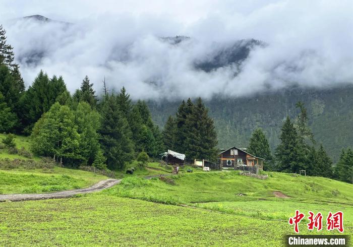 6月10日，魯朗小鎮(zhèn)高山牧場景區(qū)風(fēng)光?！∪轿木?攝