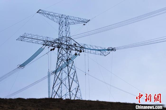 高原藏區(qū)電力線路建設(shè)者：高寒缺氧、扎刺掛彩是常事