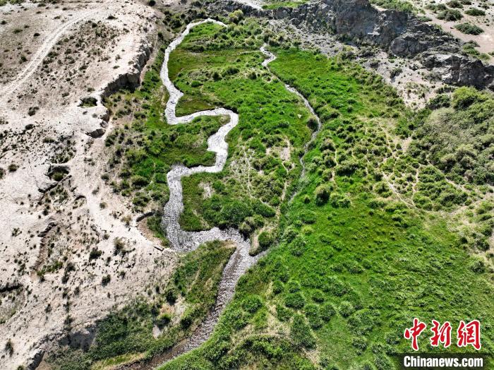 圖為航拍都蘭湖國(guó)家濕地公園綠意盎然?！∑钤鲚?攝