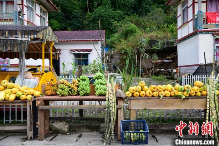 墨脫公路沿線，百姓擺攤銷售當?shù)匚锂a(chǎn)，包含香蕉、甘蔗、檸檬等。(<a target='_blank' href='/'><p  align=