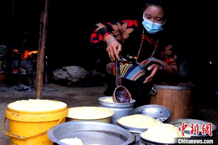 圖為牧民正在制作酥油?！∪湛t文聯(lián)供圖