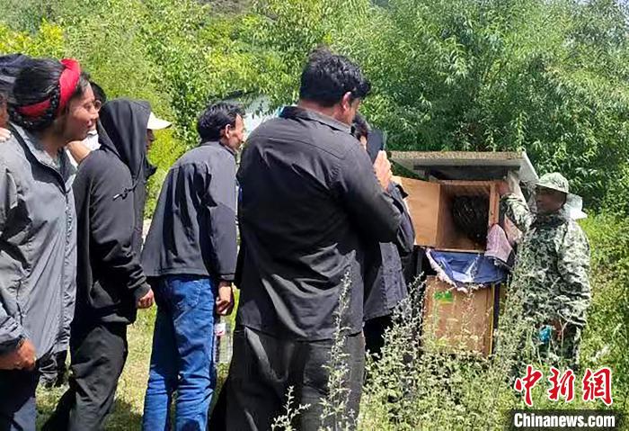 拉久西村村民學習養(yǎng)蜂工作流程和防范事項?！〔际忻⒖悼h委宣傳部供圖