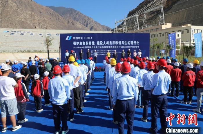 圖為蘇洼龍水電站魚類放流現(xiàn)場?！√K洼龍水電站供圖